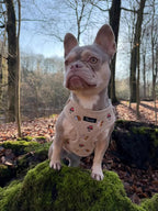 Woodland Tales Harness