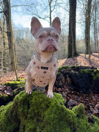 Woodland Tales Harness