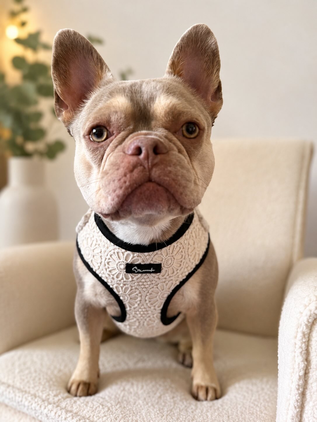 Sunwoven Harness