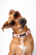 Strawberry Mood Collar Pack