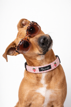 Strawberry Mood Collar Pack