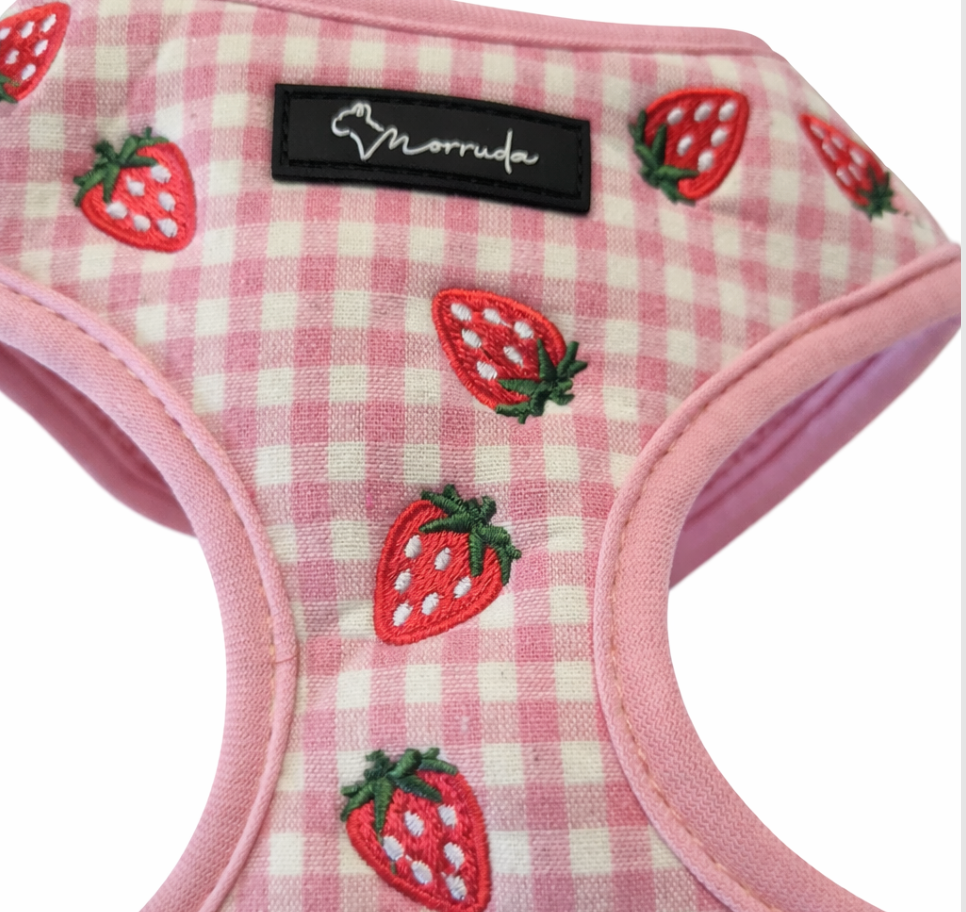 Strawberry Mood Harness