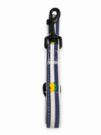 Limoneto Leash