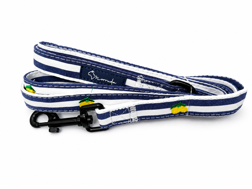 Limoneto Leash