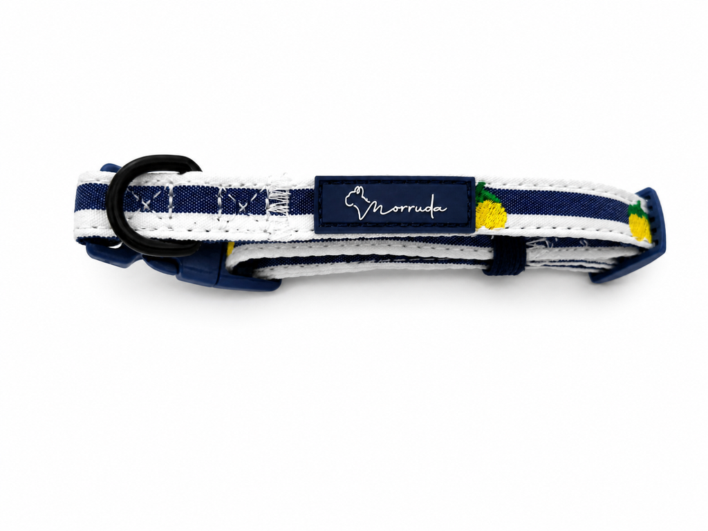 Limoneto Collar