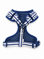 Limoneto Harness
