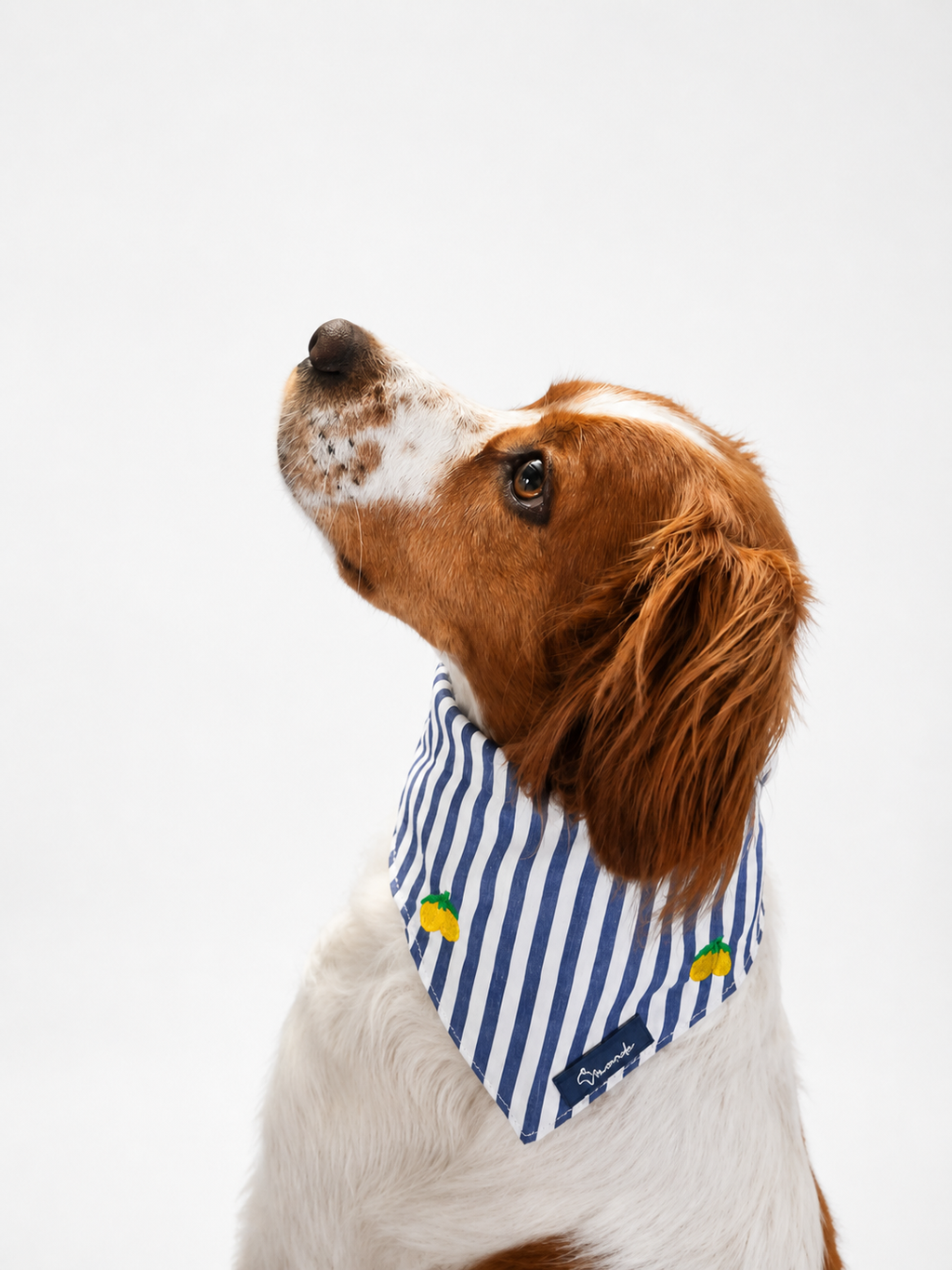 Limoneto Bandana