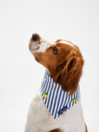 Limoneto Bandana