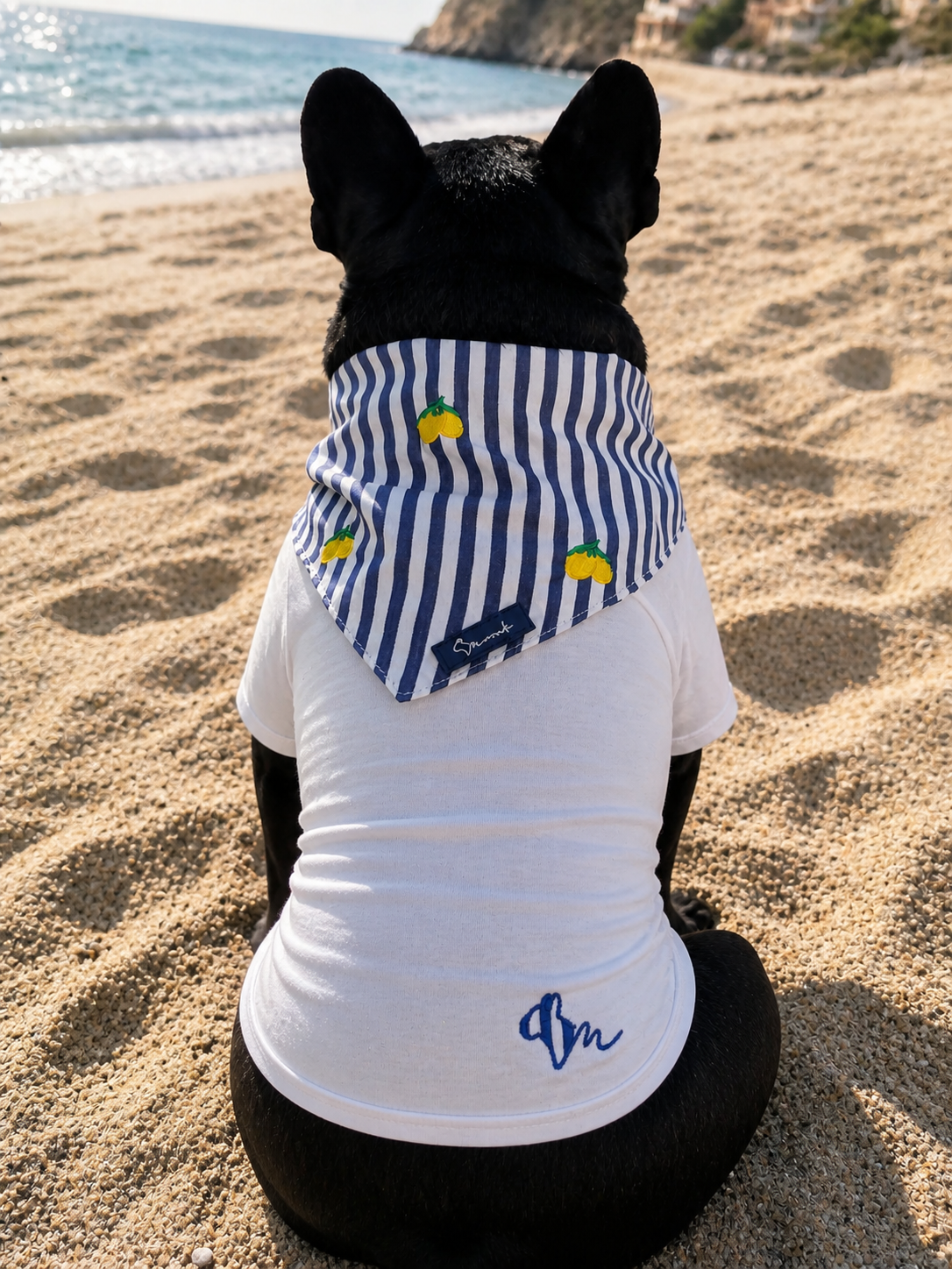 Limoneto T-shirt - for him