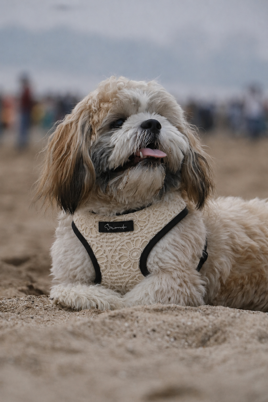 Sunwoven Harness