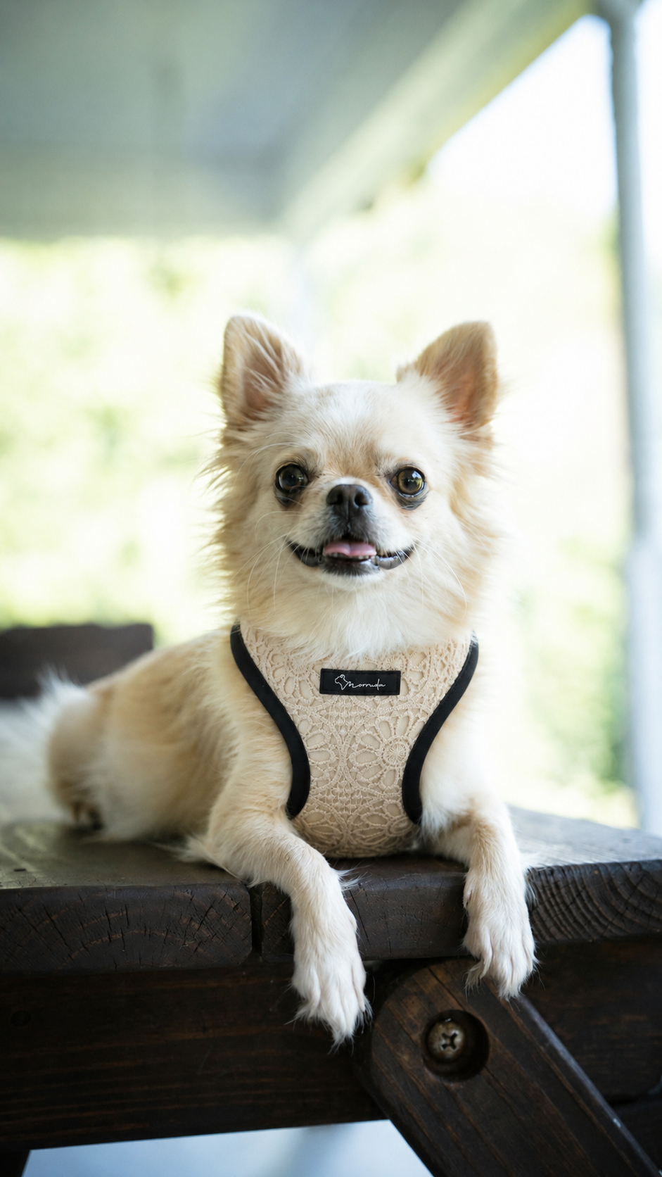 Sunwoven Harness