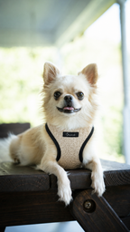Sunwoven Harness