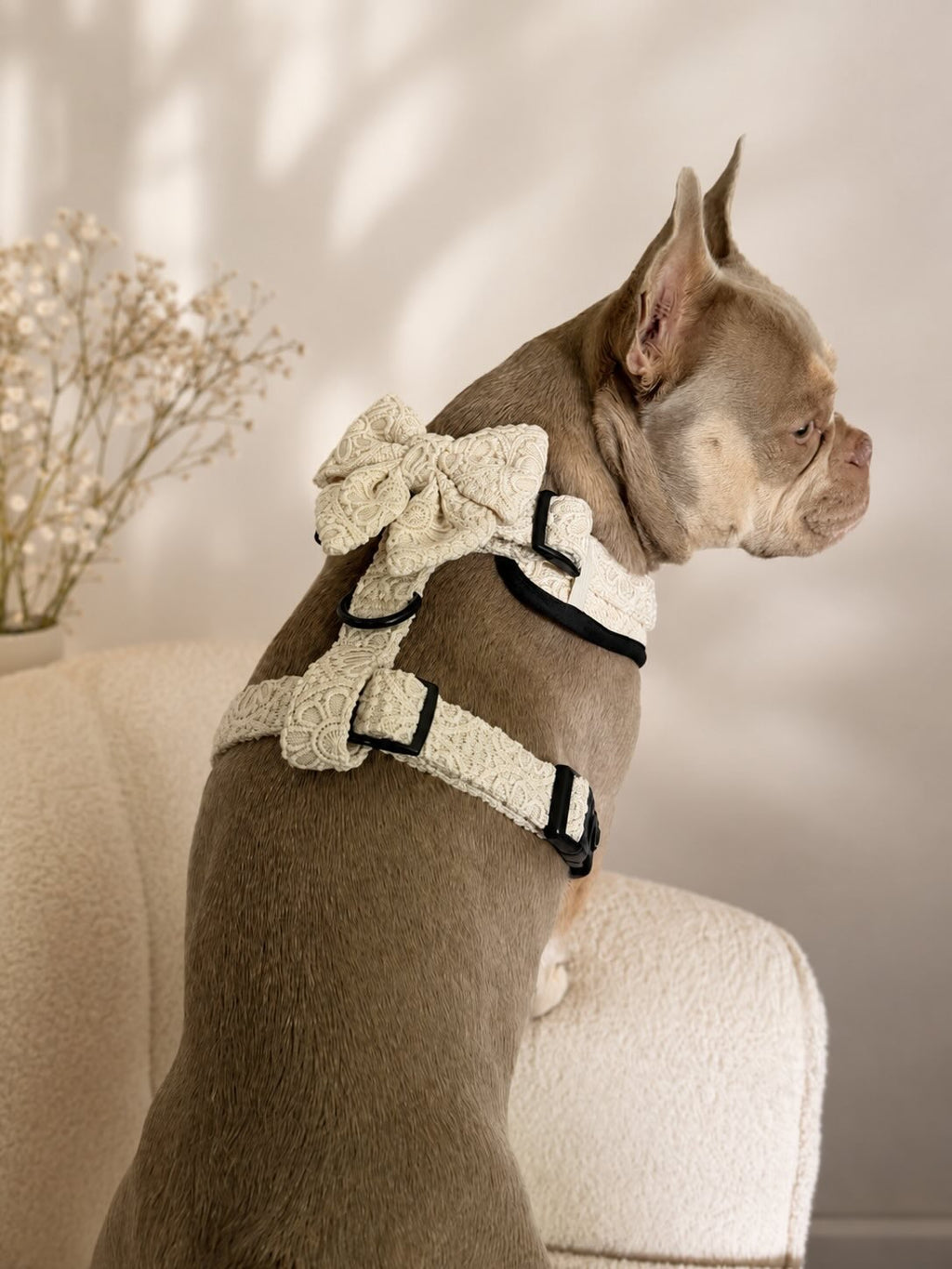 Sunwoven Harness