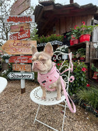Strawberry Mood Harness