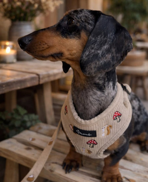 Arnés Woodland Tales