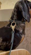 Correa Leather Studio