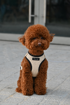El arnés de crochet de nuestra colección de verano combina diseño exclusivo, comodidad y estilo en cada detalle. Ligero, resistente y confeccionado con materiales transpirables para el máximo confort, es perfecto para perros con personalidad que quieren destacar en cada paseo.
