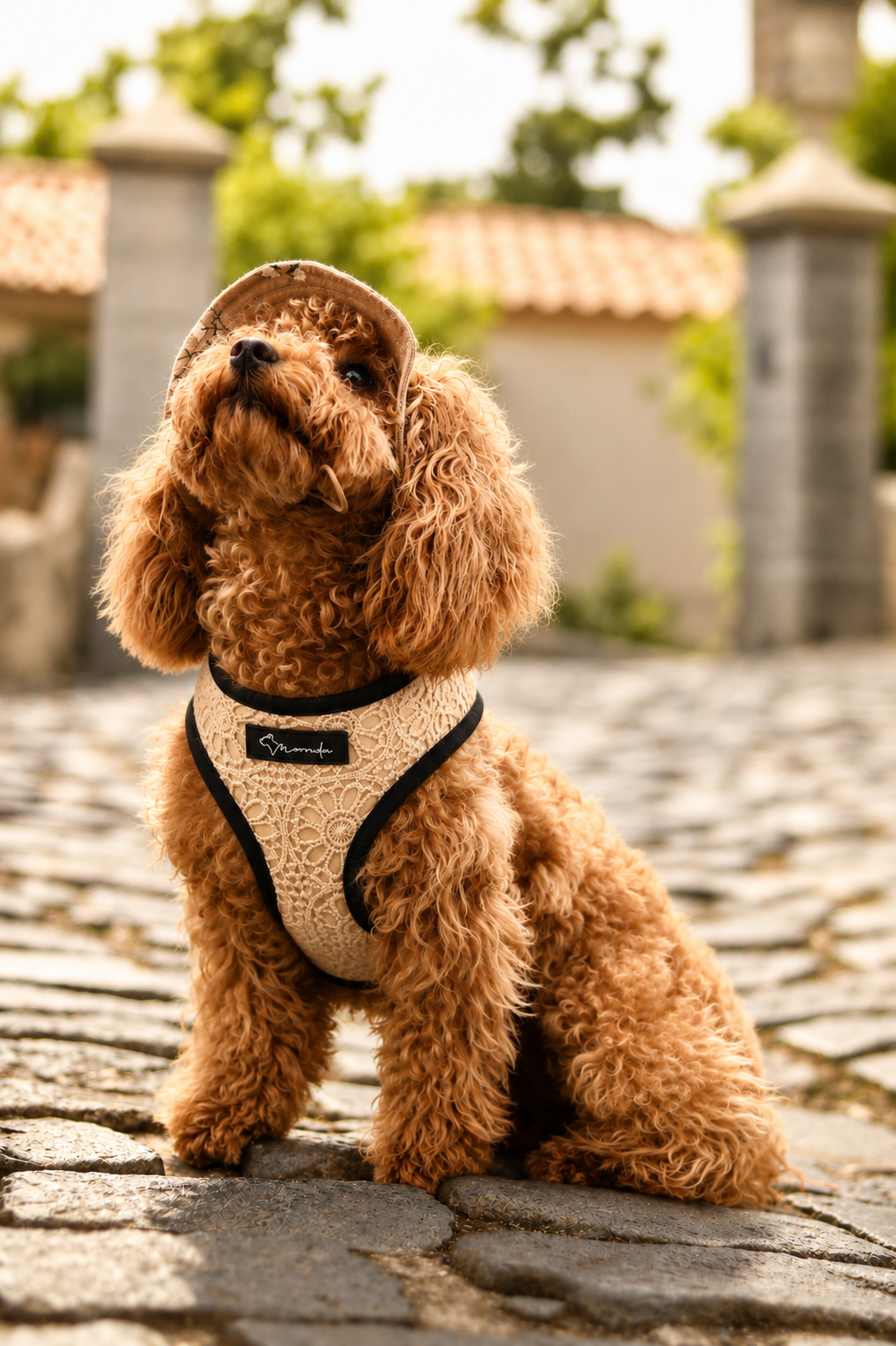 El arnés de crochet de nuestra colección de verano combina diseño exclusivo, comodidad y estilo en cada detalle. Ligero, resistente y confeccionado con materiales transpirables para el máximo confort, es perfecto para perros con personalidad que quieren destacar en cada paseo.