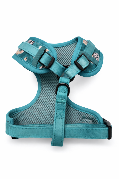 Meadow Harness