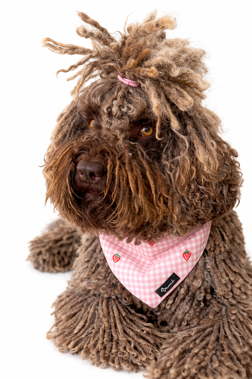 Strawberry Mood Bandana