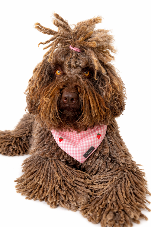 Bandana Strawberry Mood