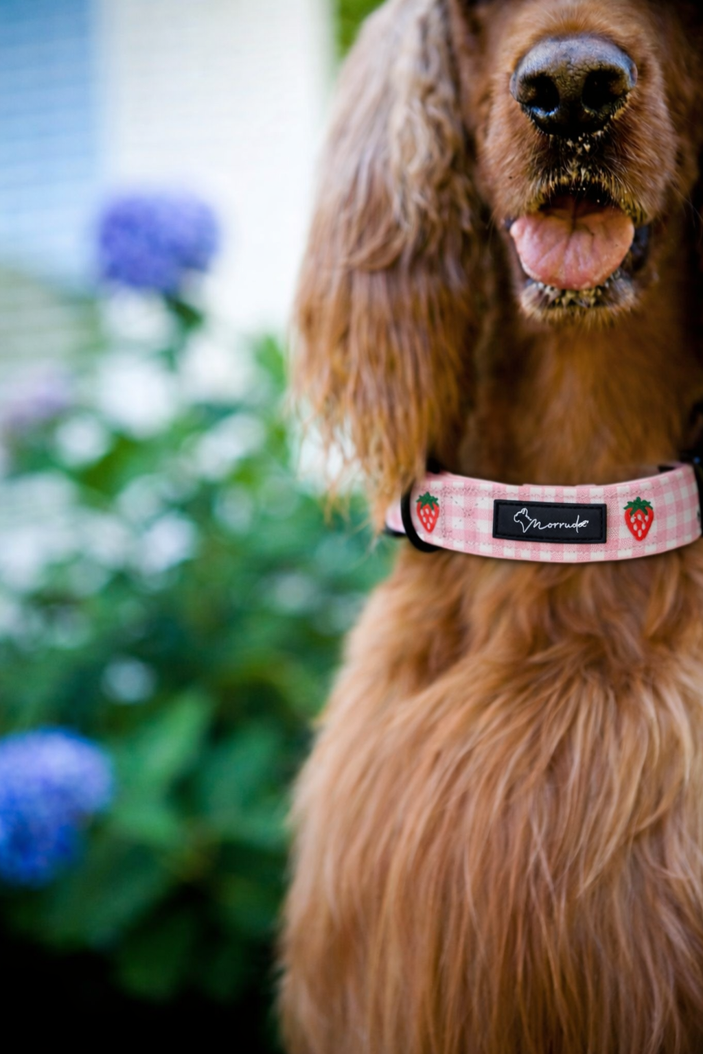 Strawberry Mood Collar