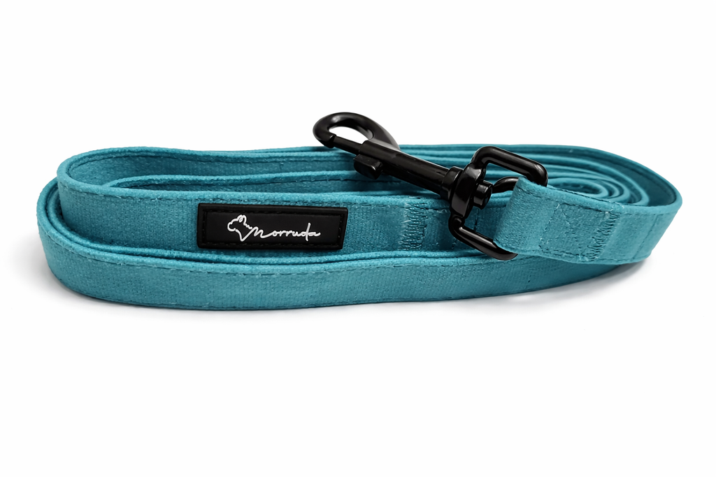 Meadow Leash