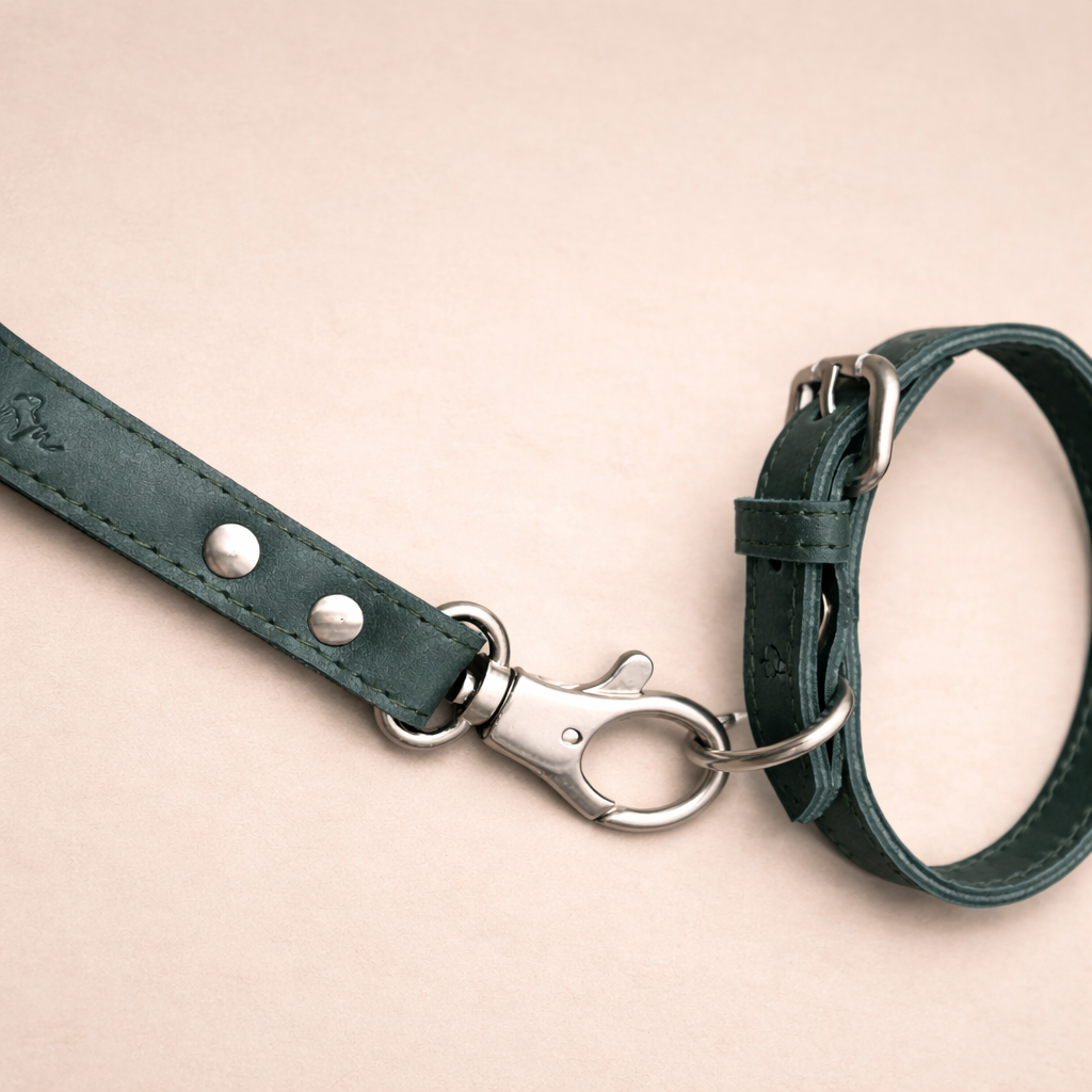 Leather Studio Leash