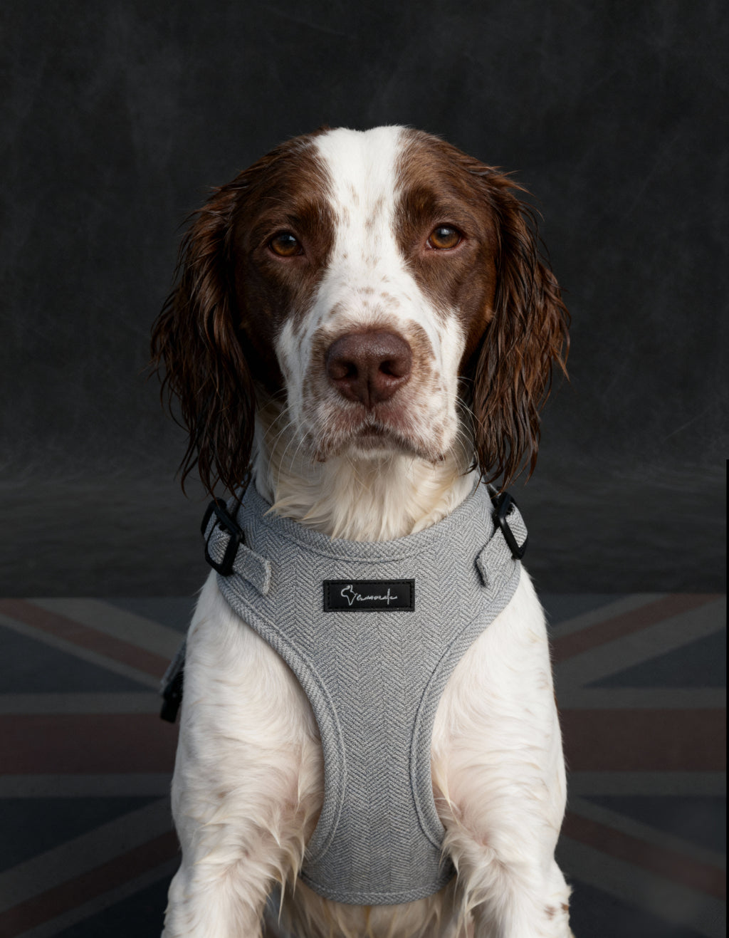 London Fog Harness