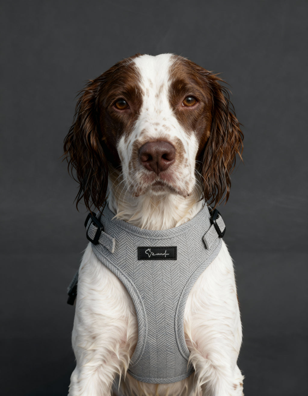 London Fog Harness