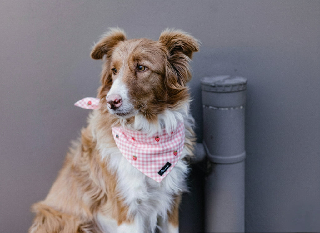 Strawberry Mood Bandana