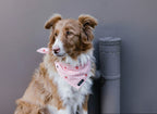 Strawberry Mood Bandana