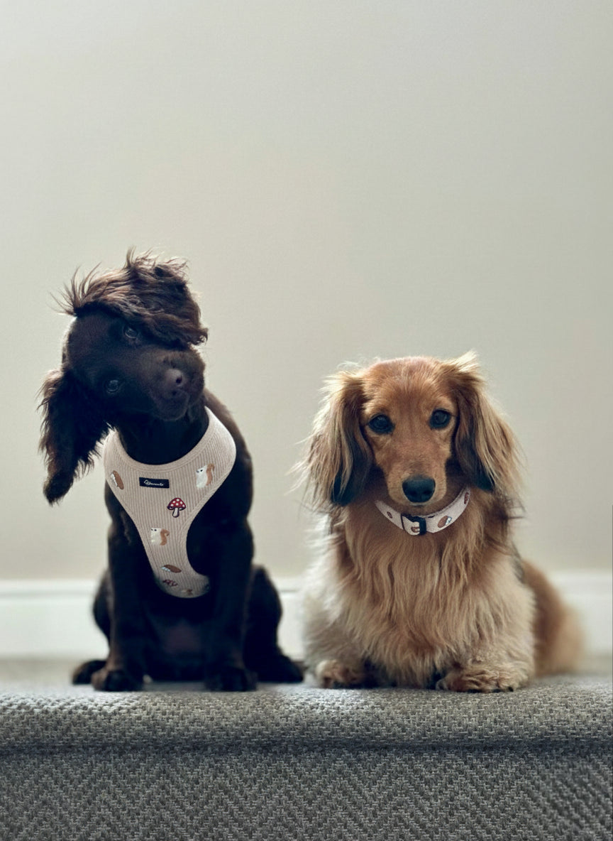 Woodland Tales Harness