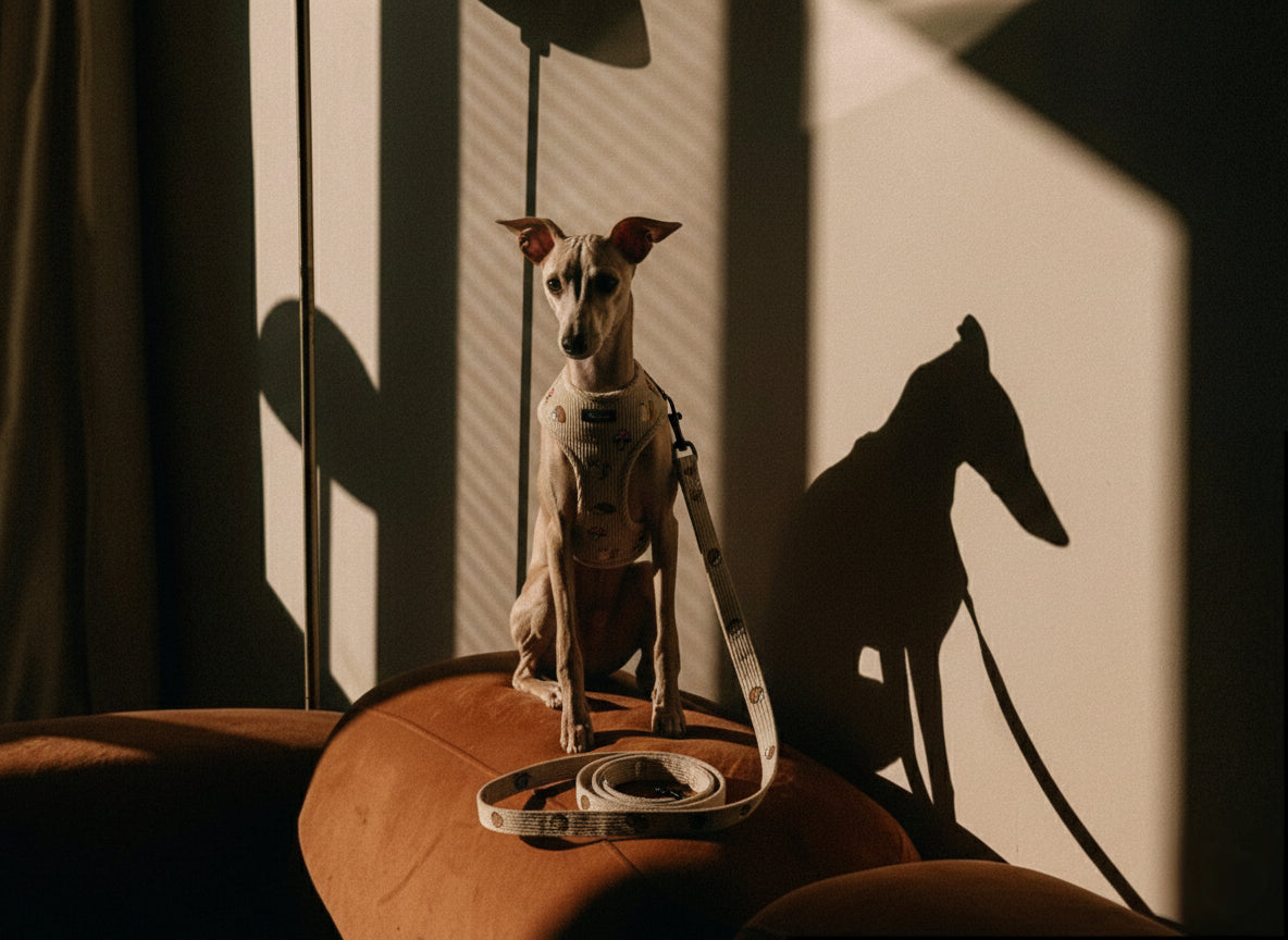 Woodland Tales Leash