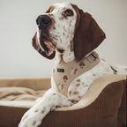 Woodland Tales Harness