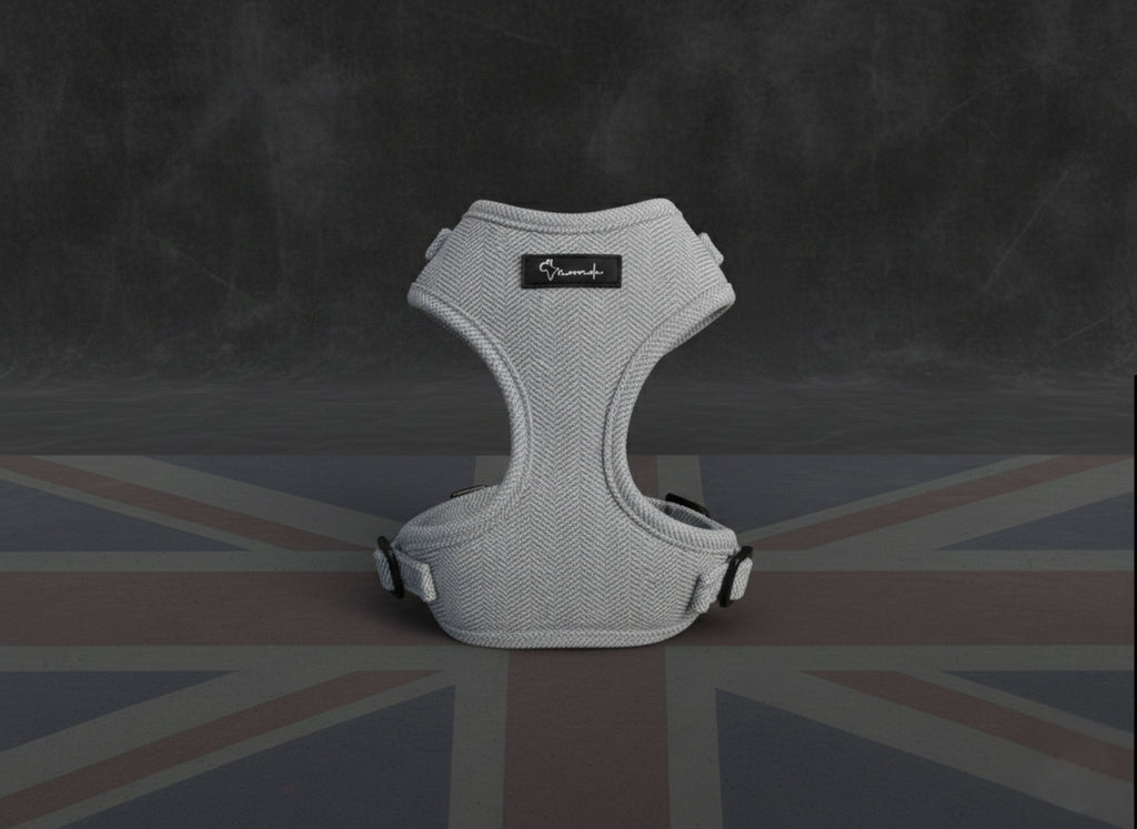 London Fog Harness