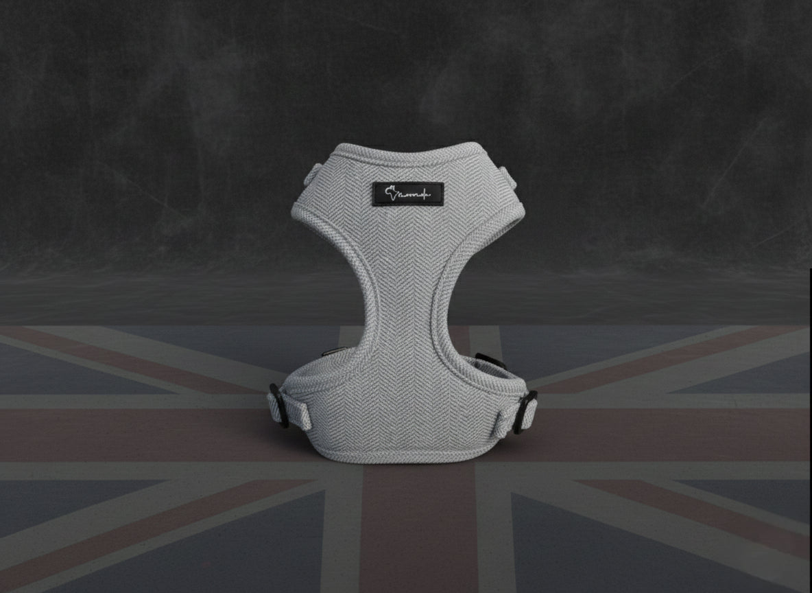 London Fog Harness