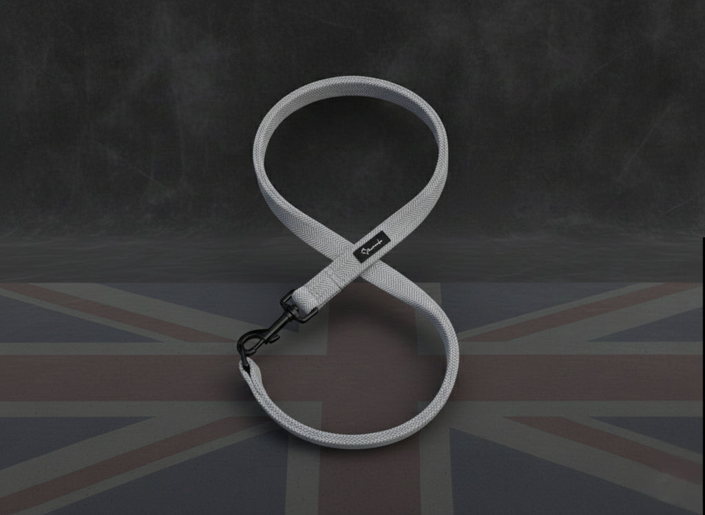 London Fog Leash