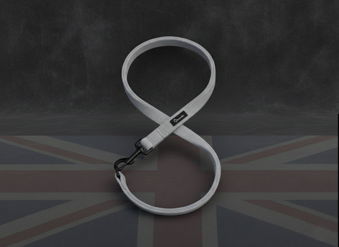 London Fog Leash