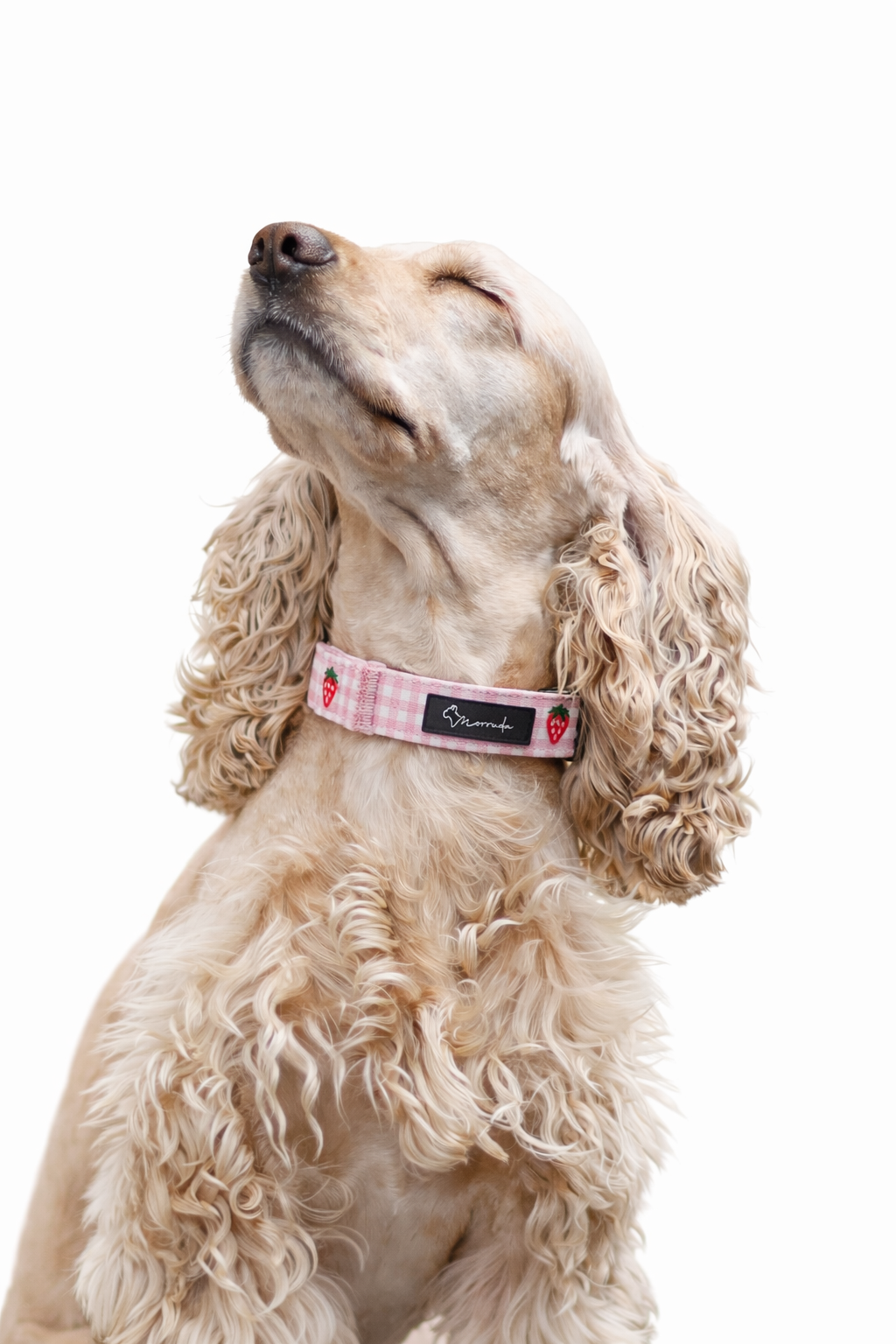 Strawberry Mood Collar