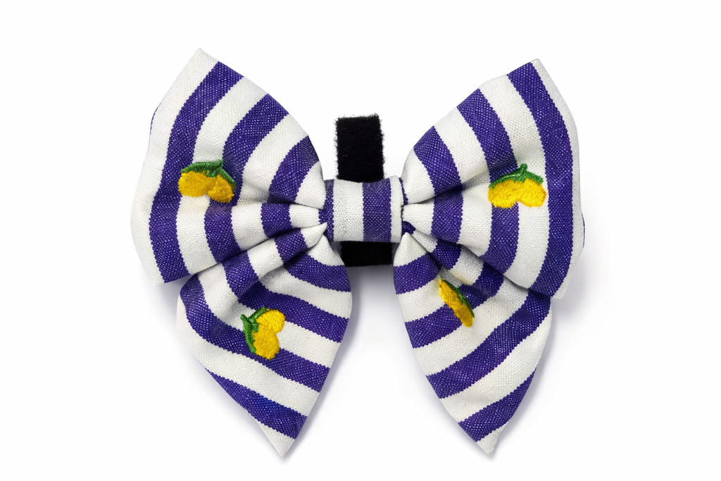 Sailor Bow Limoneto